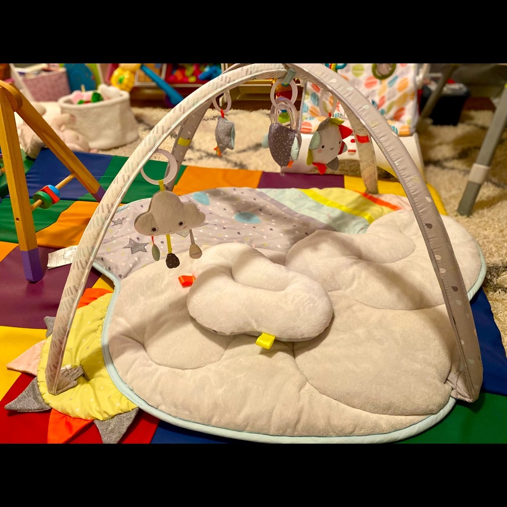 Skip Hop activity gym